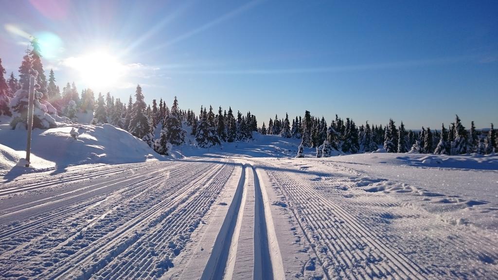 Lodge Hytter Nordseter