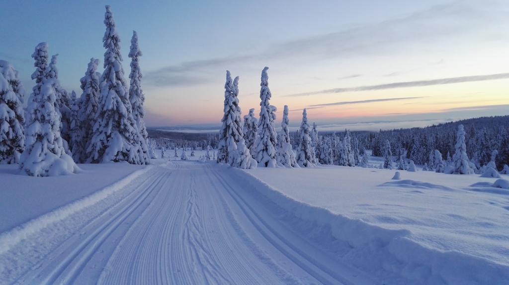 Hytter Nordseter