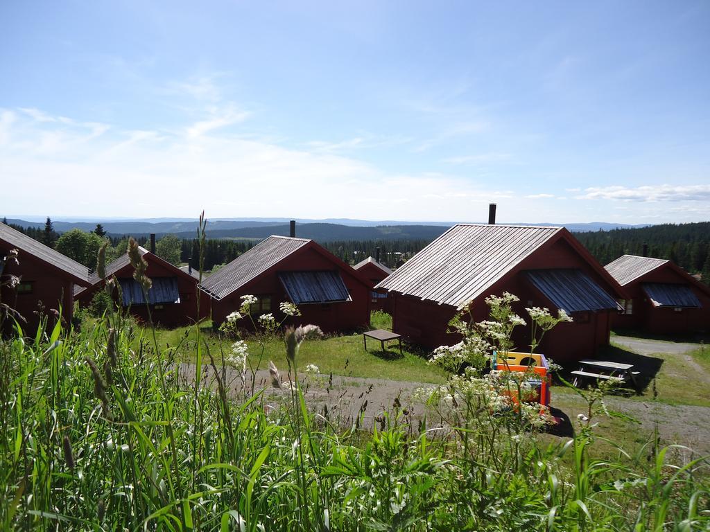 Lodge Hytter